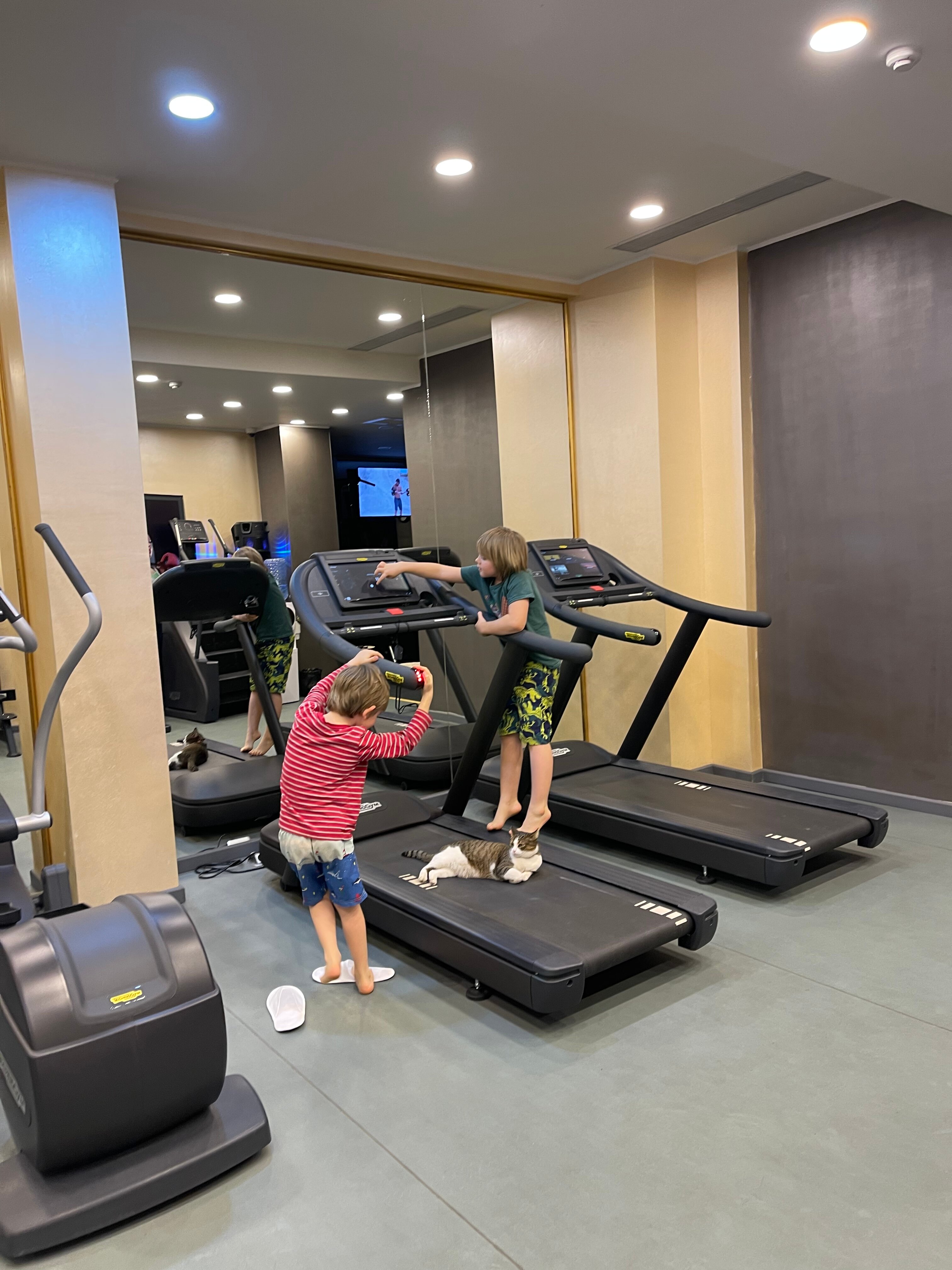 Фото Premium Park Hotel