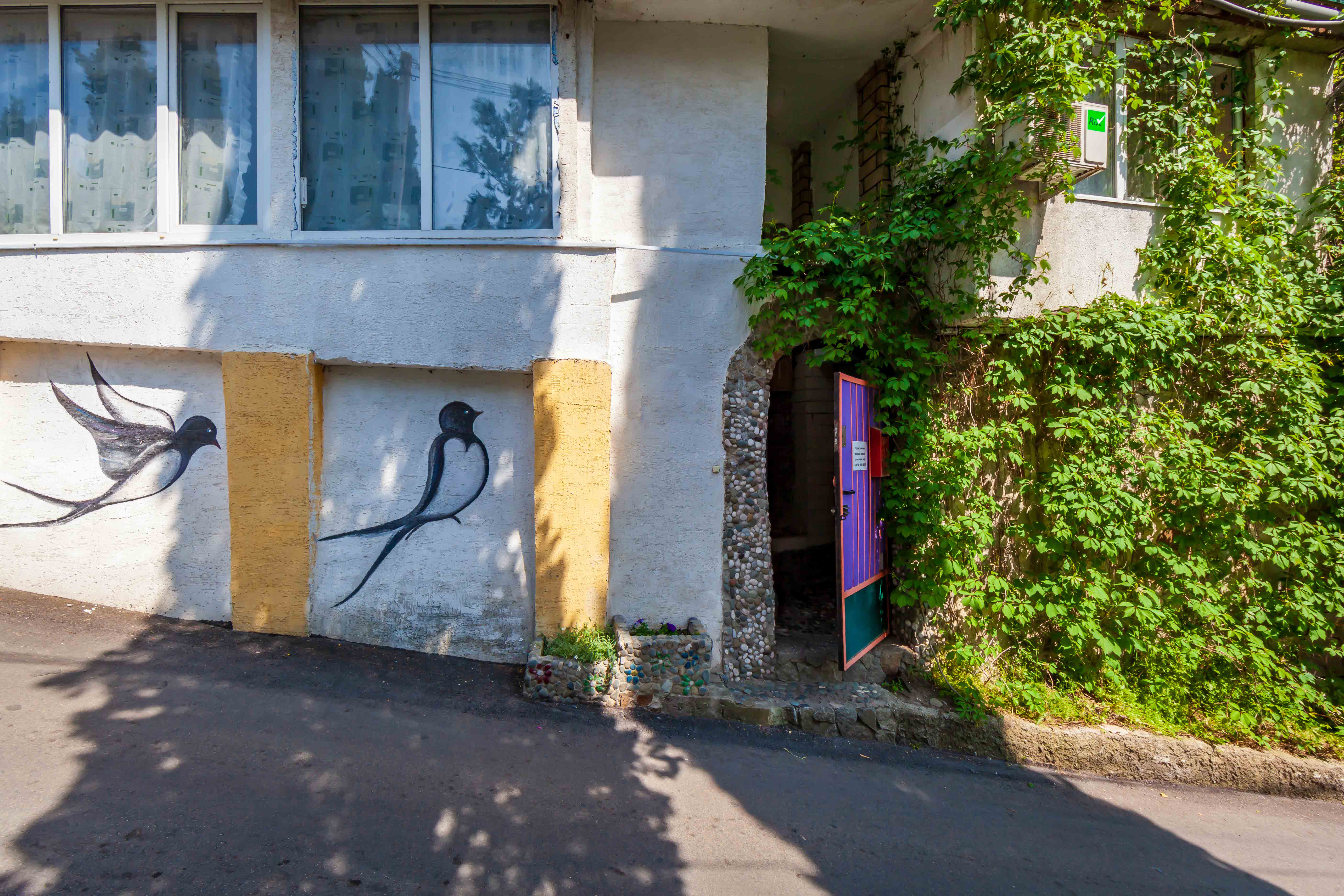 Фото Ласточка