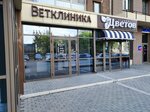 VitaAnimal (ulitsa Tolbukhina, 5), veterinary clinic