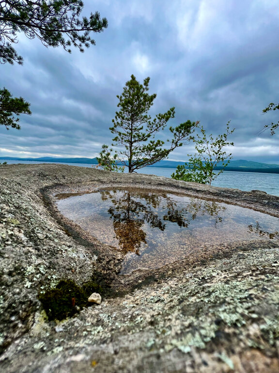 Фото Турголд