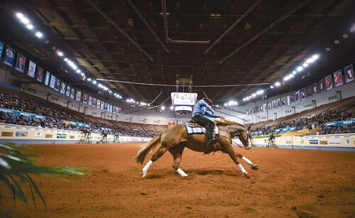 Гостиница Holiday Inn Express & Suites Moore в Муре