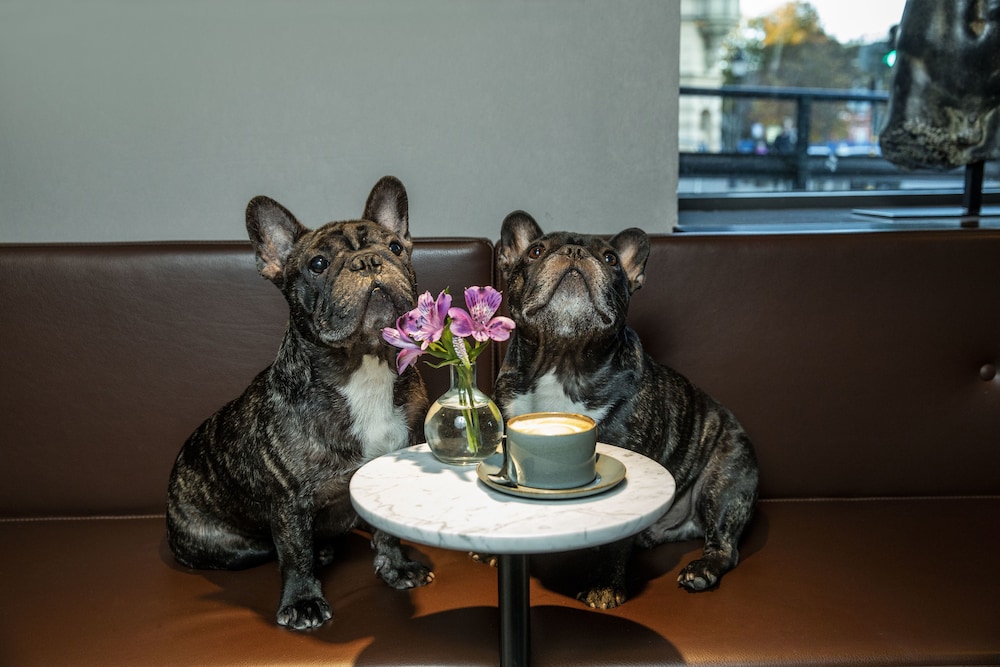 Фото Radisson Collection Strand Hotel, Stockholm