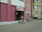 Цветы (бул. Юности, 35Б, Белгород), магазин цветов в Белгороде