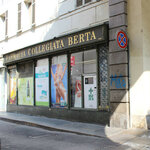 Farmacia Collegiata Berta (Piedmont, Torino, Via Po, 51), pharmacy