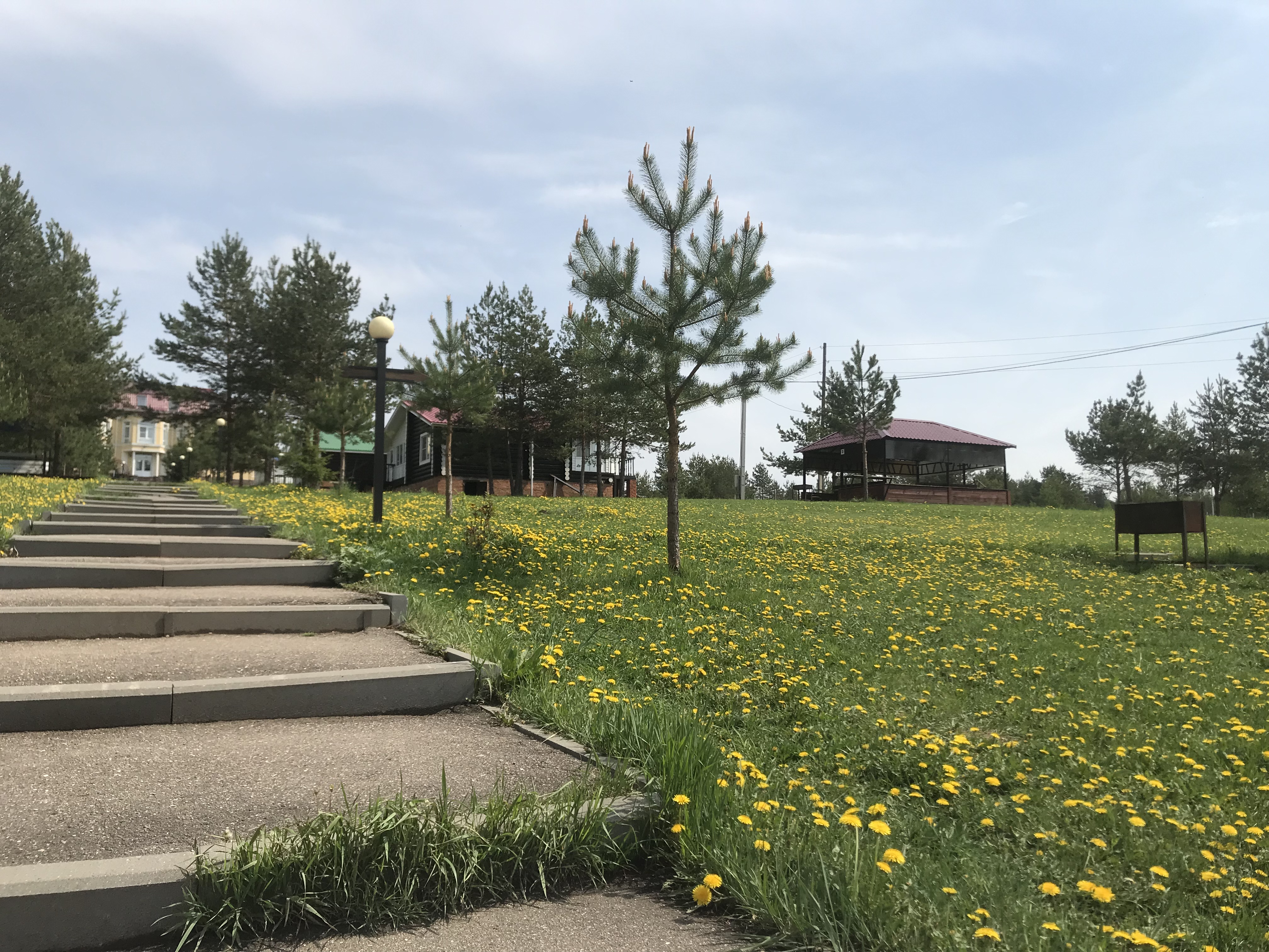 Фото Лежневская лагуна