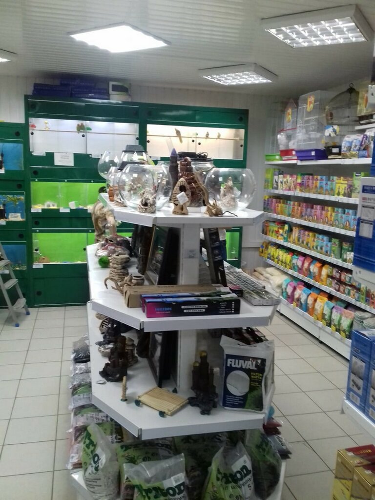 Копейск Продажа Магазинов