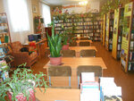 Petrovskaya library (Village of Levoshevo, 37А), library