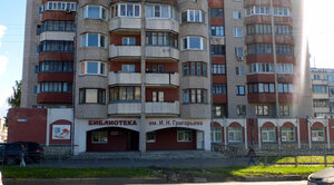 Grigoriev Library (Yubileiynaya Street, 87А), library