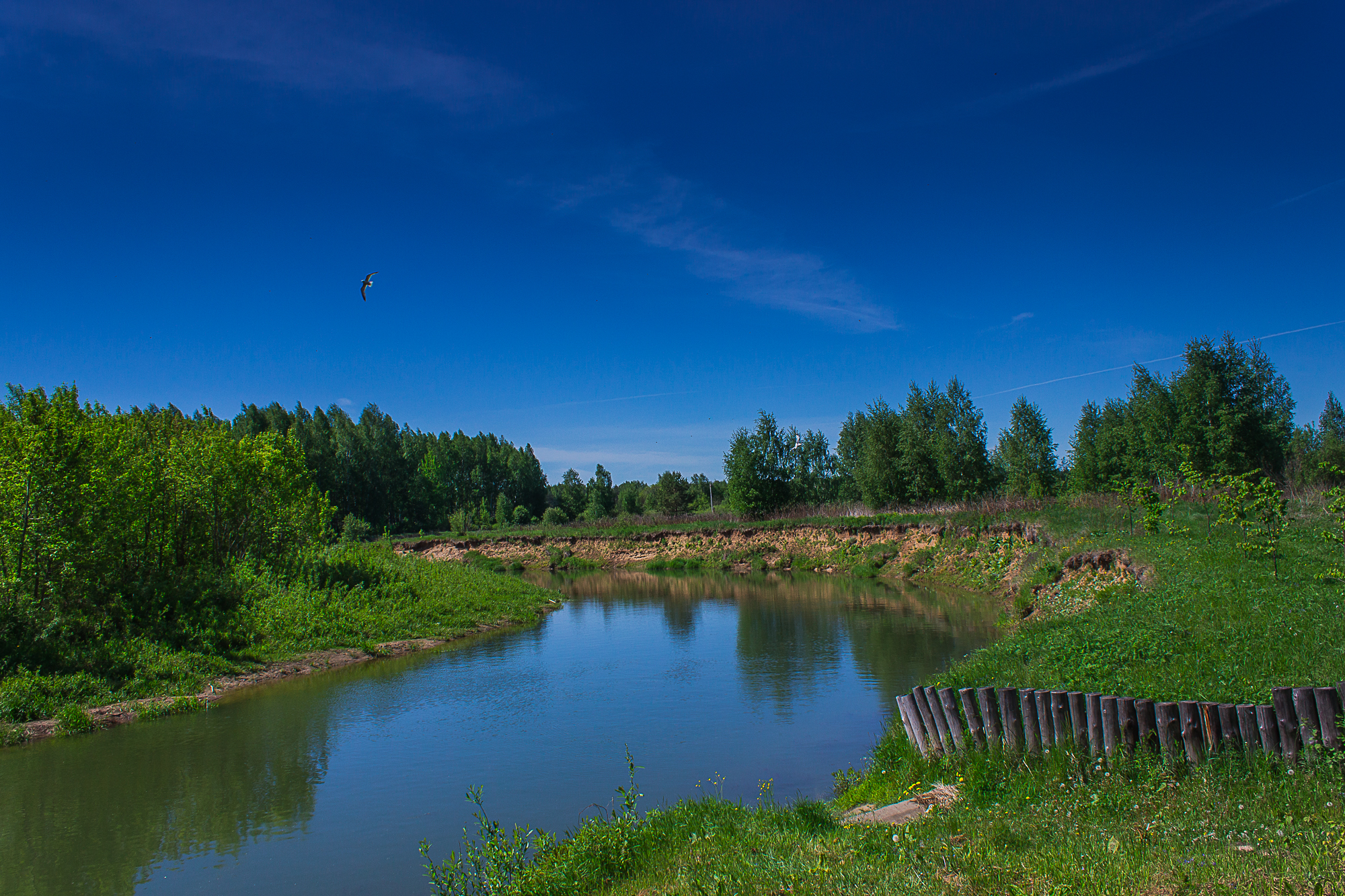 Фото Ясные зори