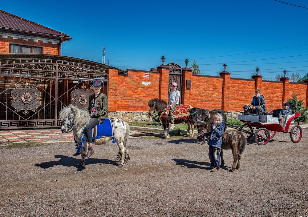 Фото Двор сурка