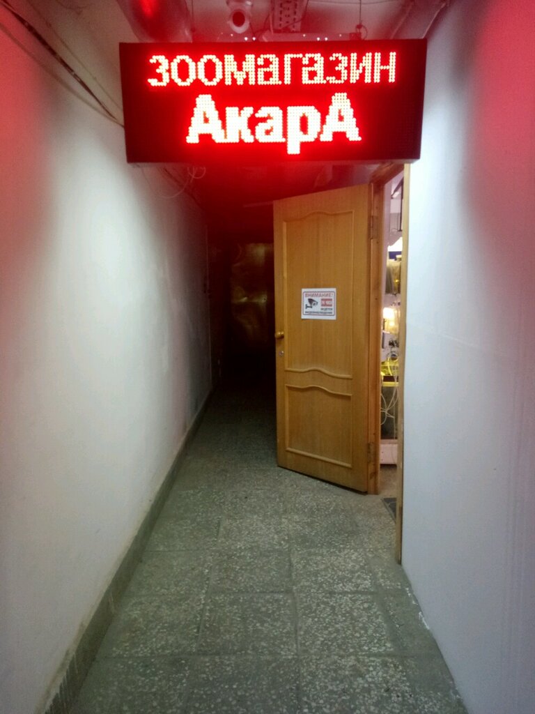 Рено маг нижний новгород