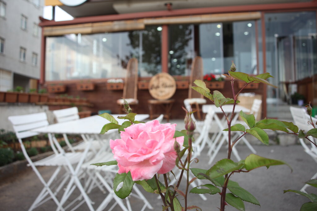 Restoran Bafra Pidecisi, Tuzla, foto