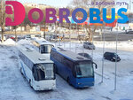 DobroBus (8th Inzhenerny Drive, 8) ، النقل بالحافلات