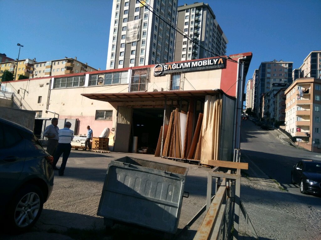 Furniture store Saglam Mobilya, Istanbul, photo