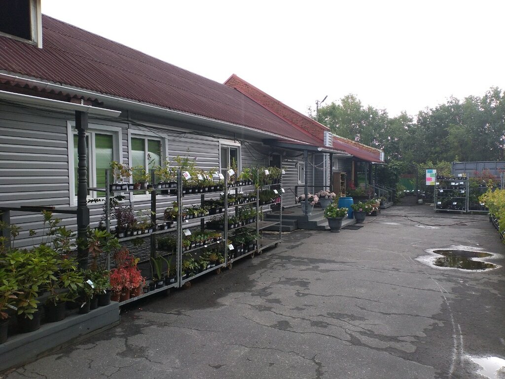 Garden center Sadovy tsentr Priroda, Arkhangelsk, photo