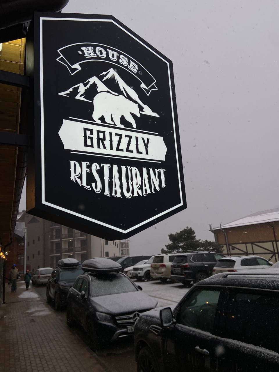 Фото Гризли
