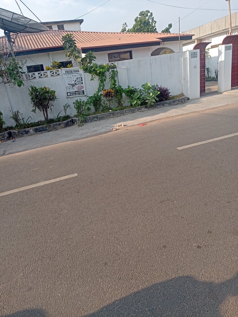 Egg and poultry meat Fresh Eggs, Accra, photo