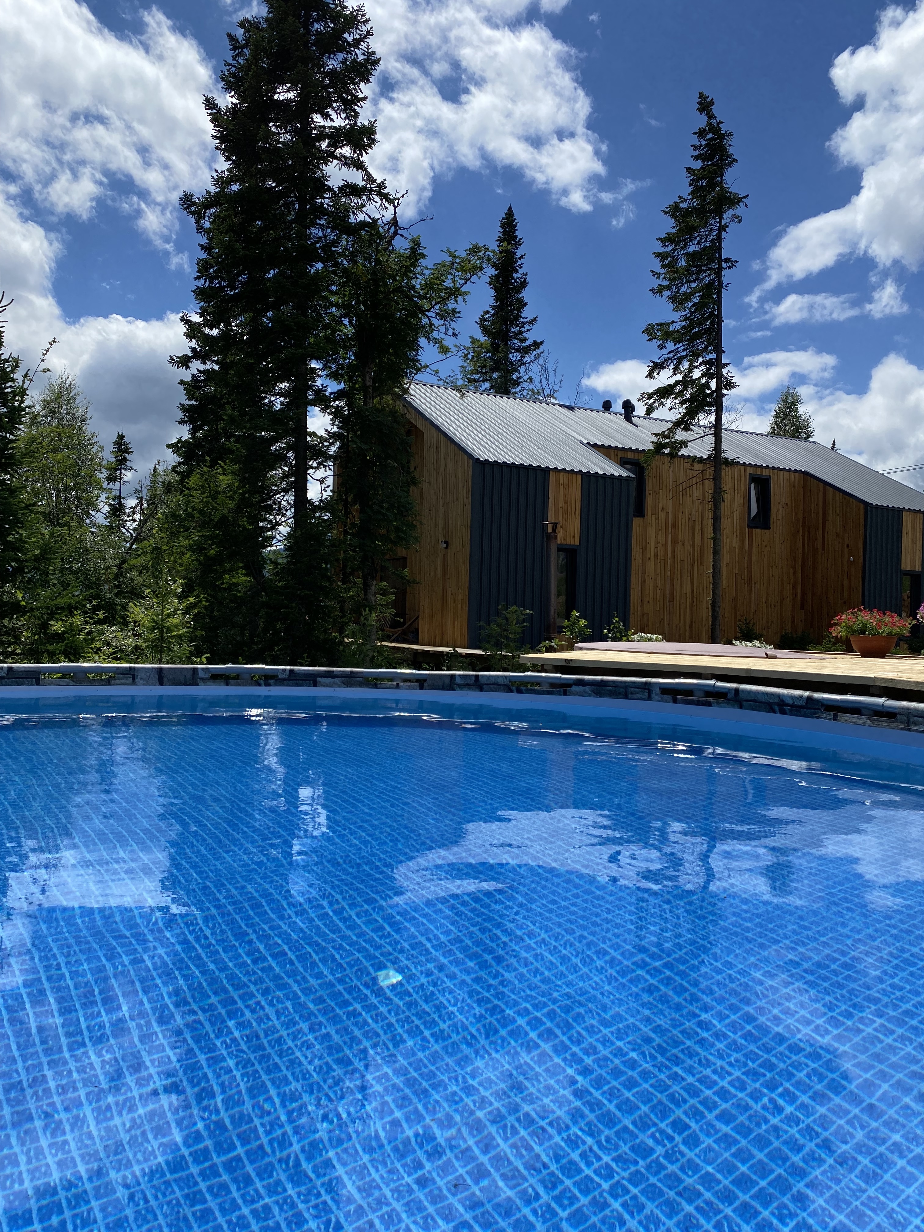 Фото Svekla project