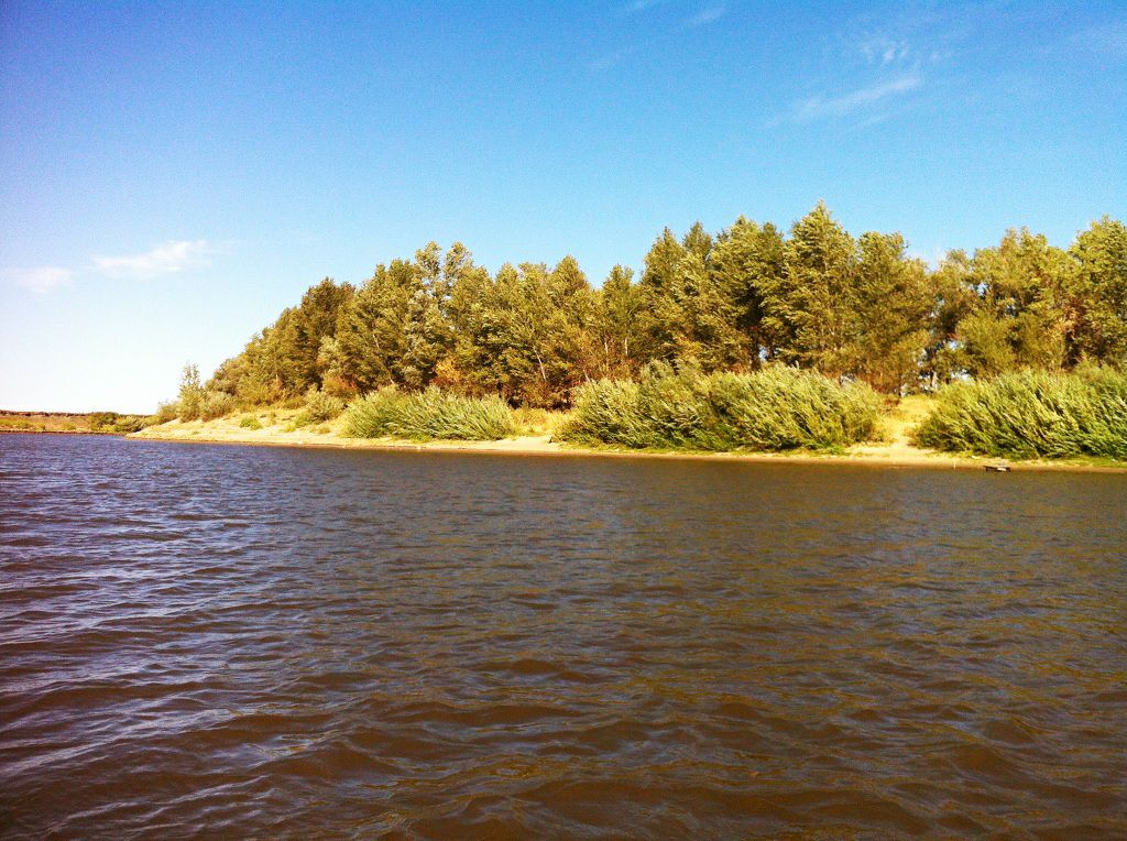 Фото База Звезда