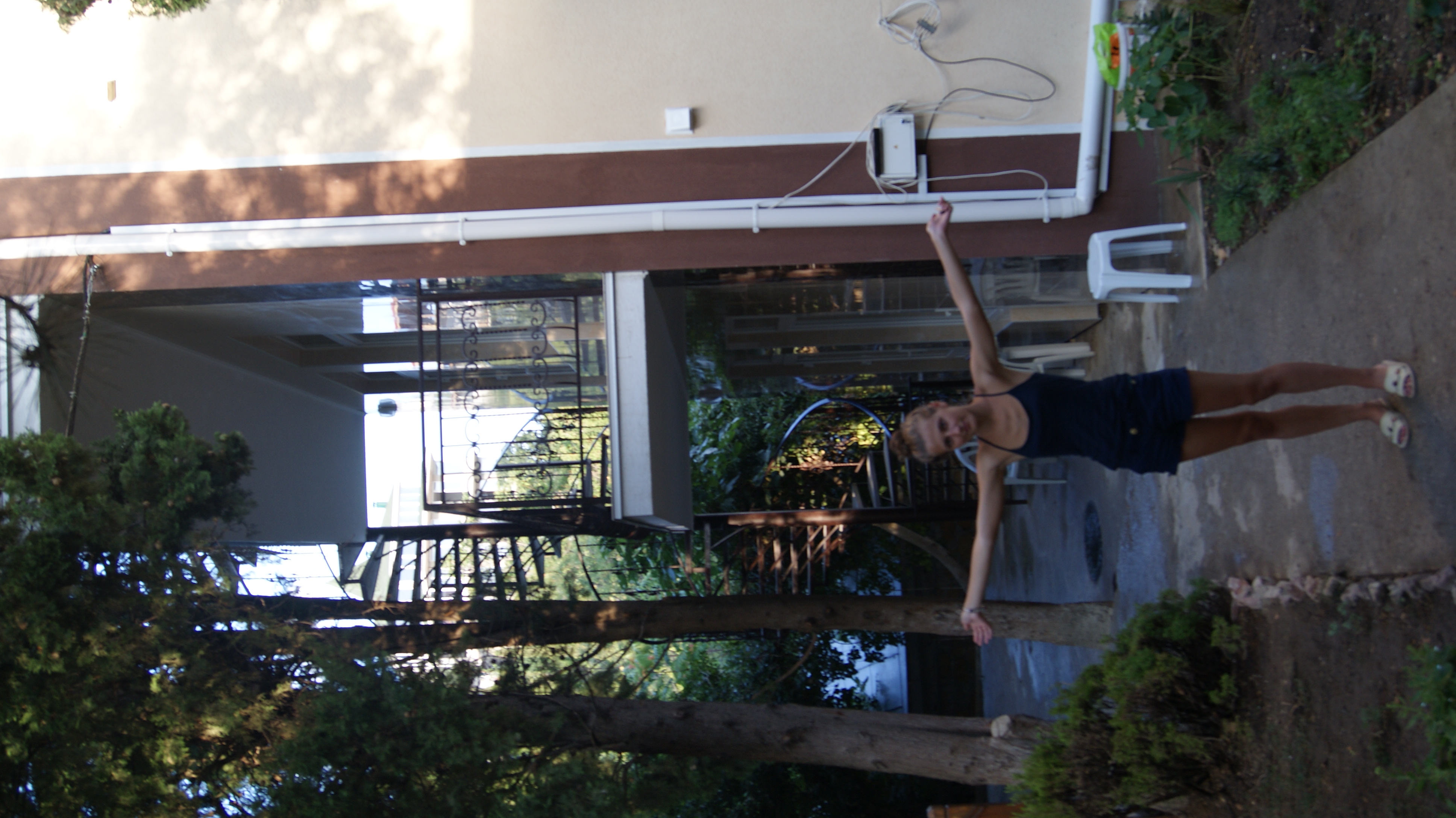 Фото Магнолия