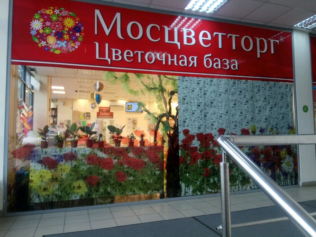 Магазины Мосцветторг На Карте