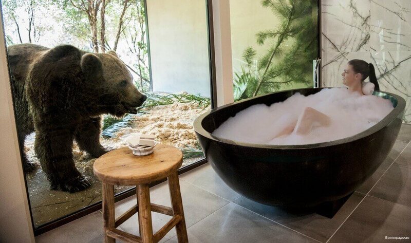 Фото Волгоградская