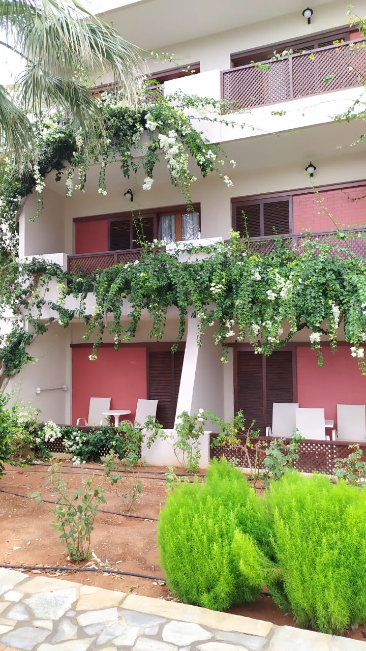 Фото Dessole Malia Beach – All Inclusive