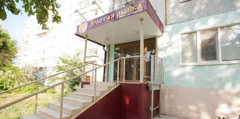 Фото Золотая рыбка