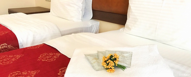 Фото Дон Кихот