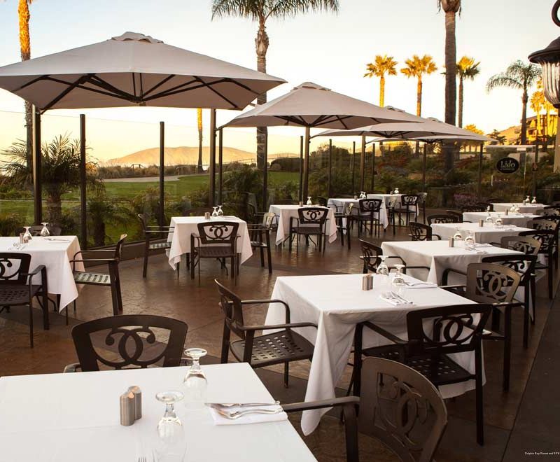 Фото Dolphin Bay Resort And SPA