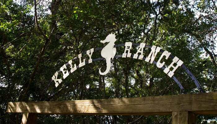 Фото Seaside Amelia Inn