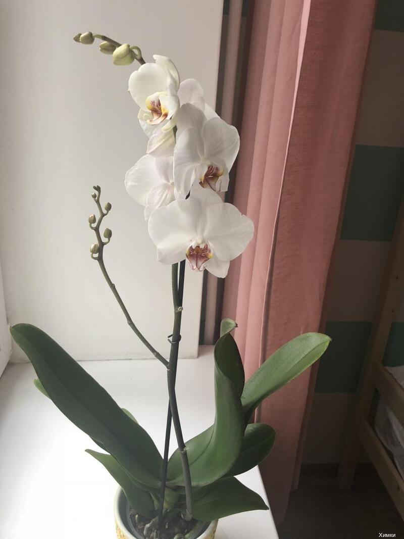 Фото Хостел Химки 