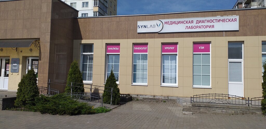 Веста витебск бровки