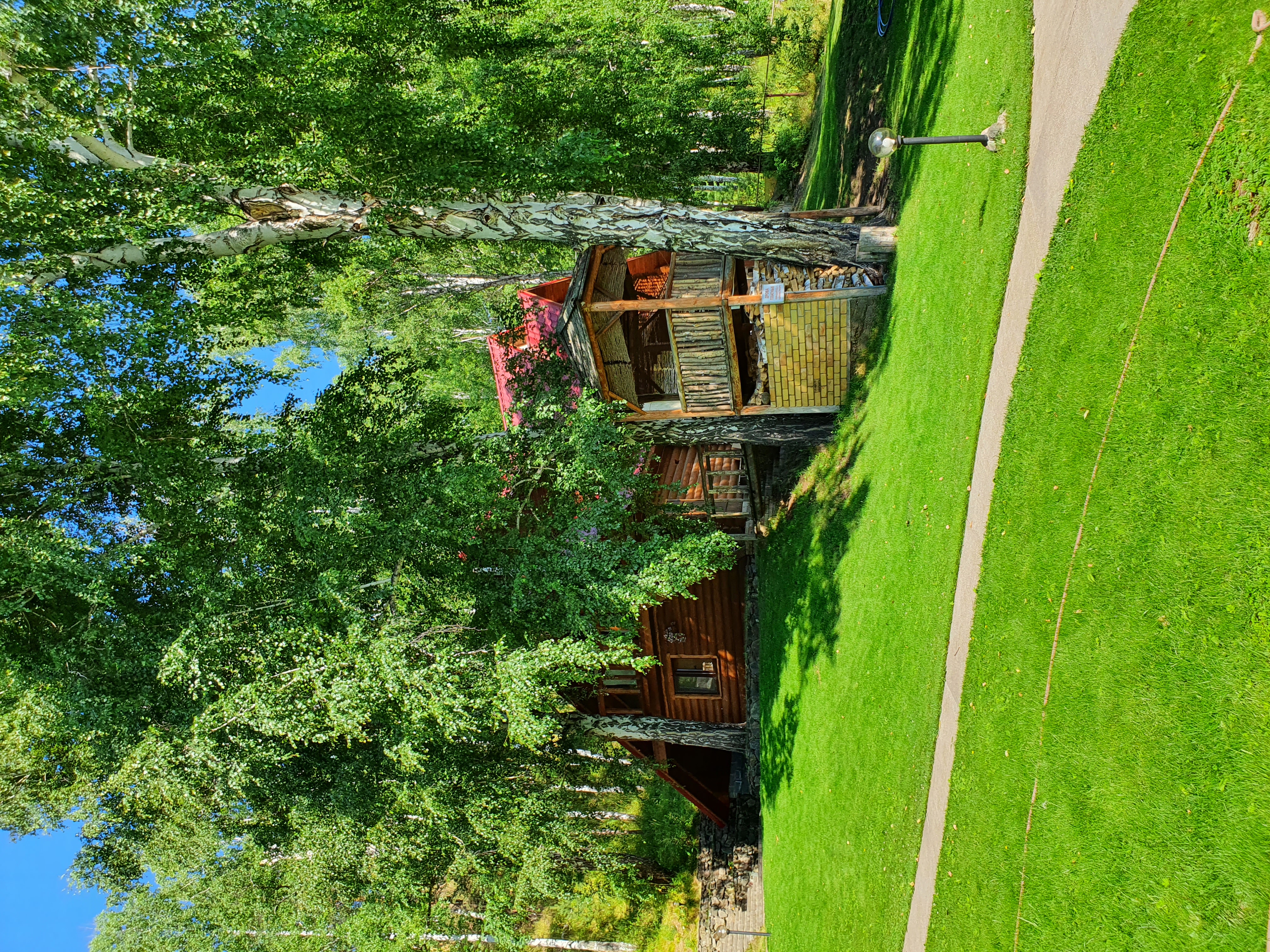 Фото Каменный цветок