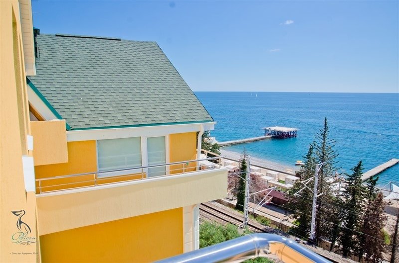 Фото Пеликан