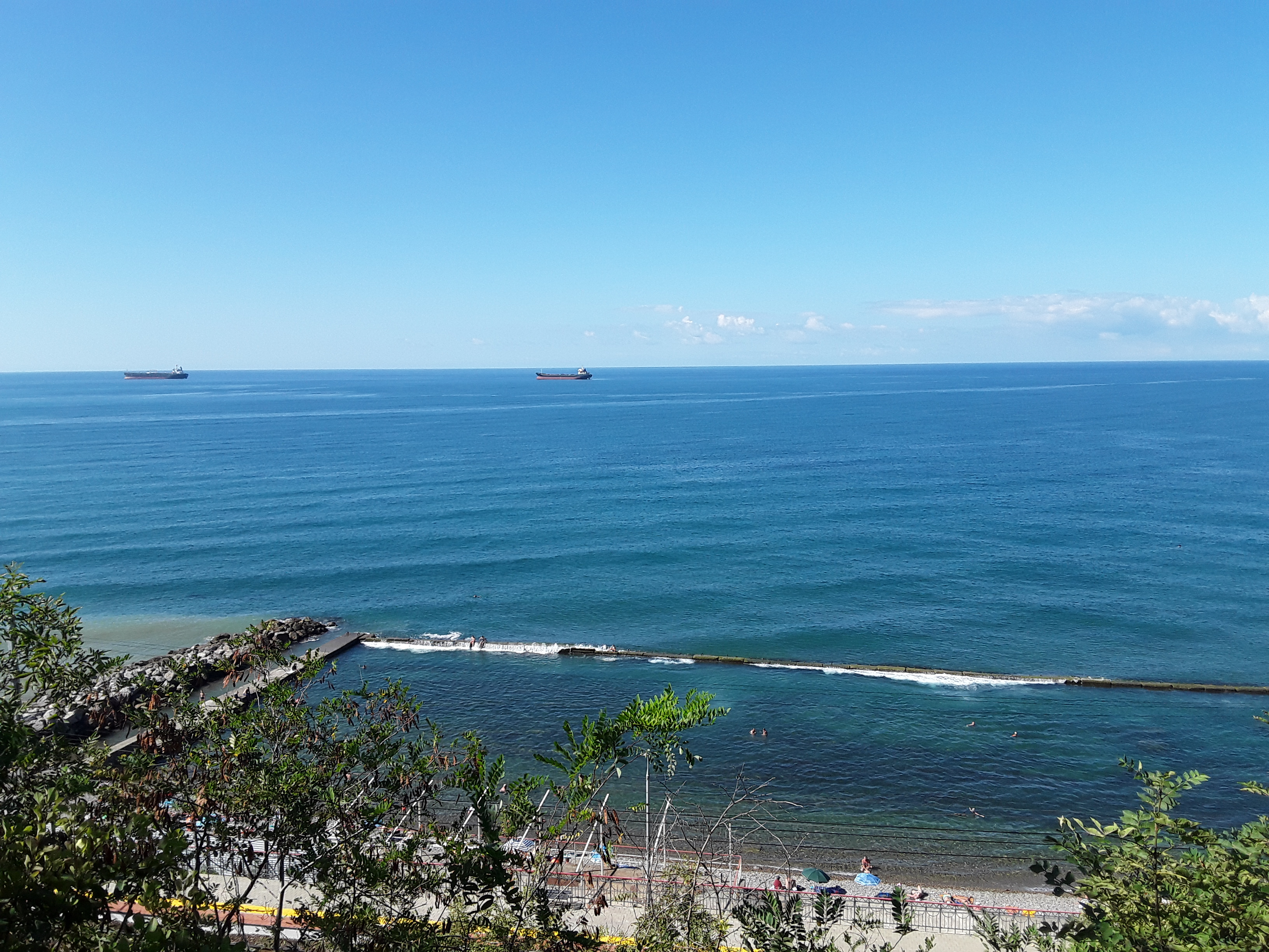 Фото Галина-чайка