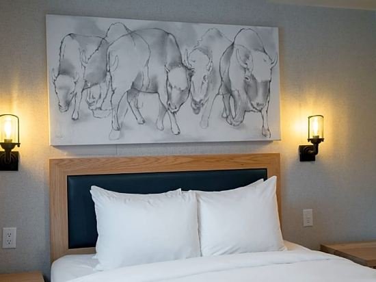 Фото Tunnel Mountain Resort