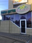 Orkhideya (Turgeneva Street, 189/5), flower shop