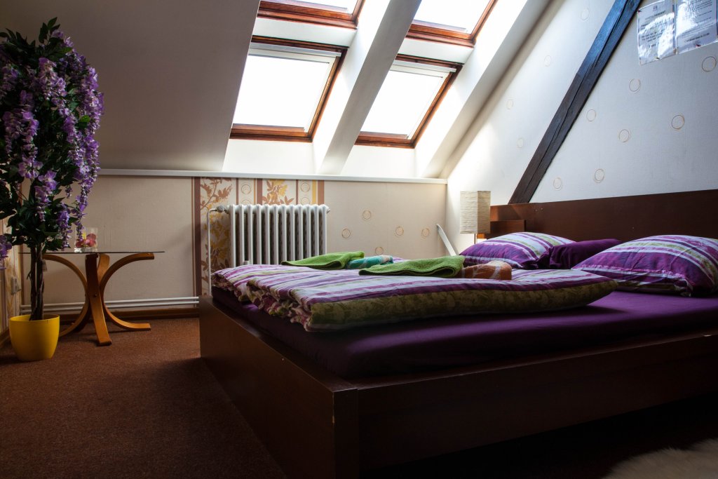 Фото Хостел Sokolska Youth