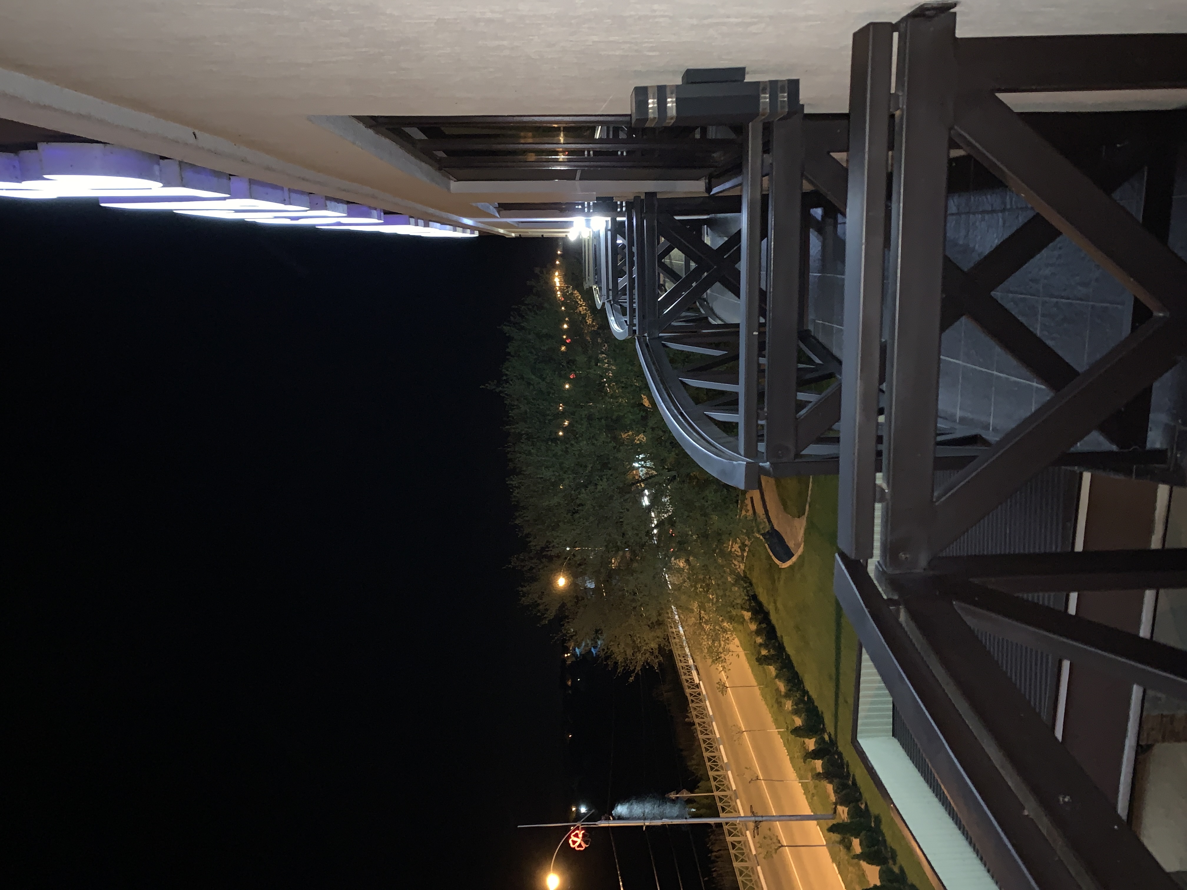 Фото Голден Стар