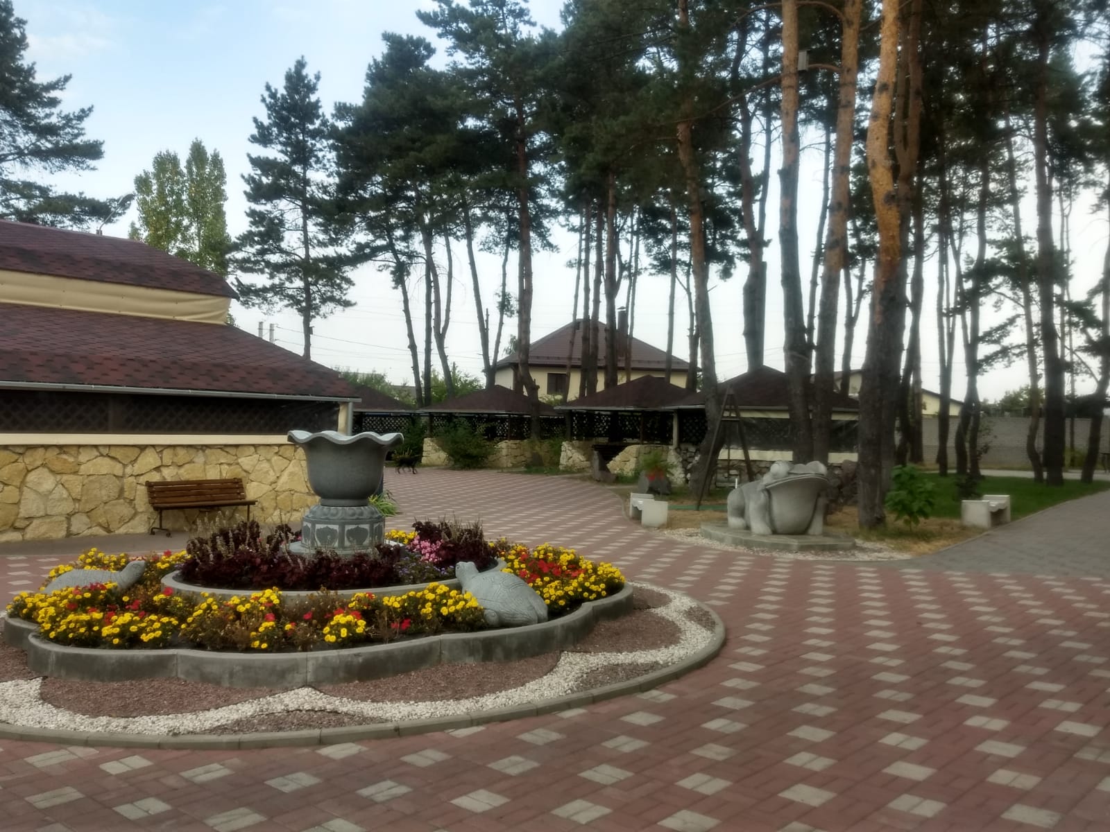 Фото Санлайт