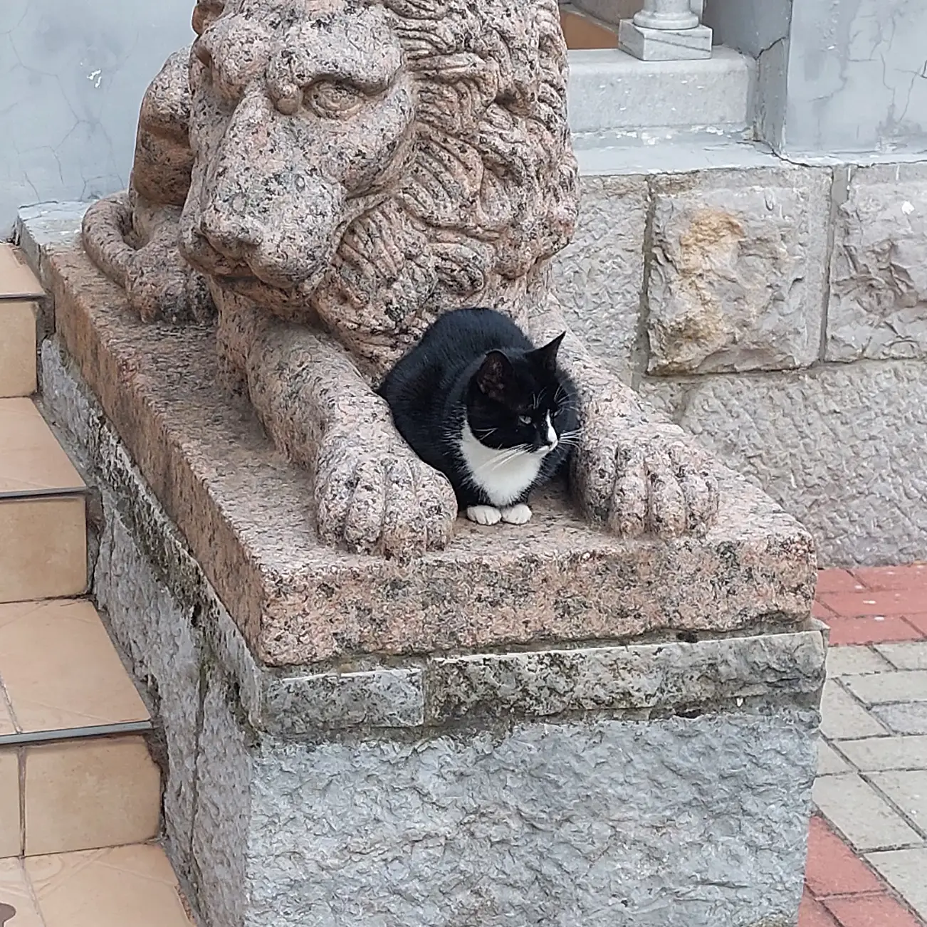 Фото Санаторий Узбекистан