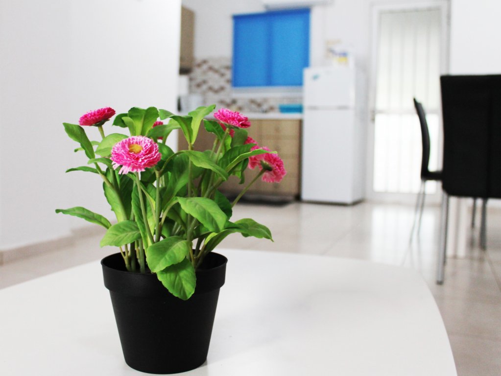 Фото Апартаменты Duplex Comfort