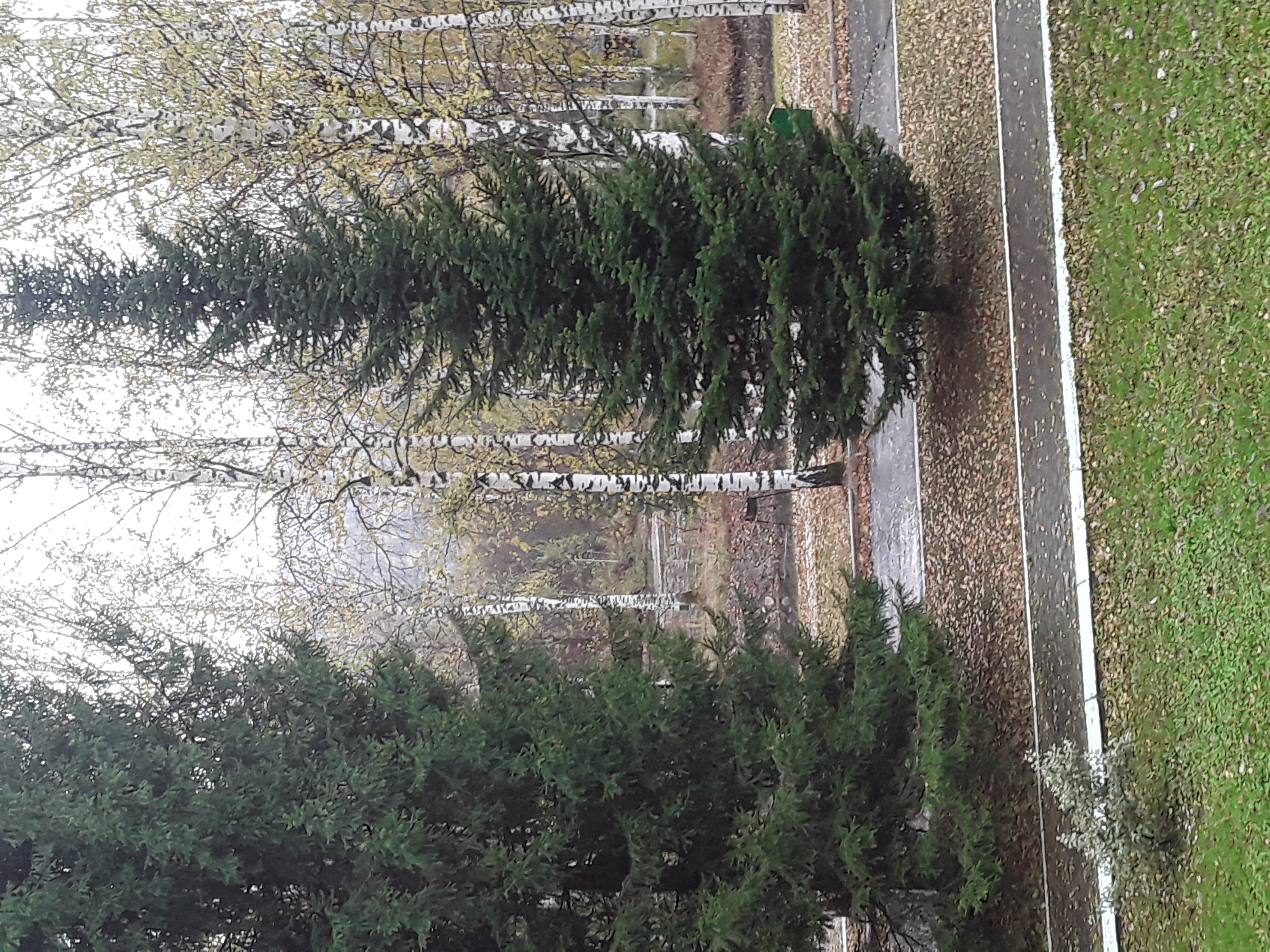 Фото Фантазия