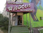 Nassi (Qulager shaǵyn aýdany, 63), grocery