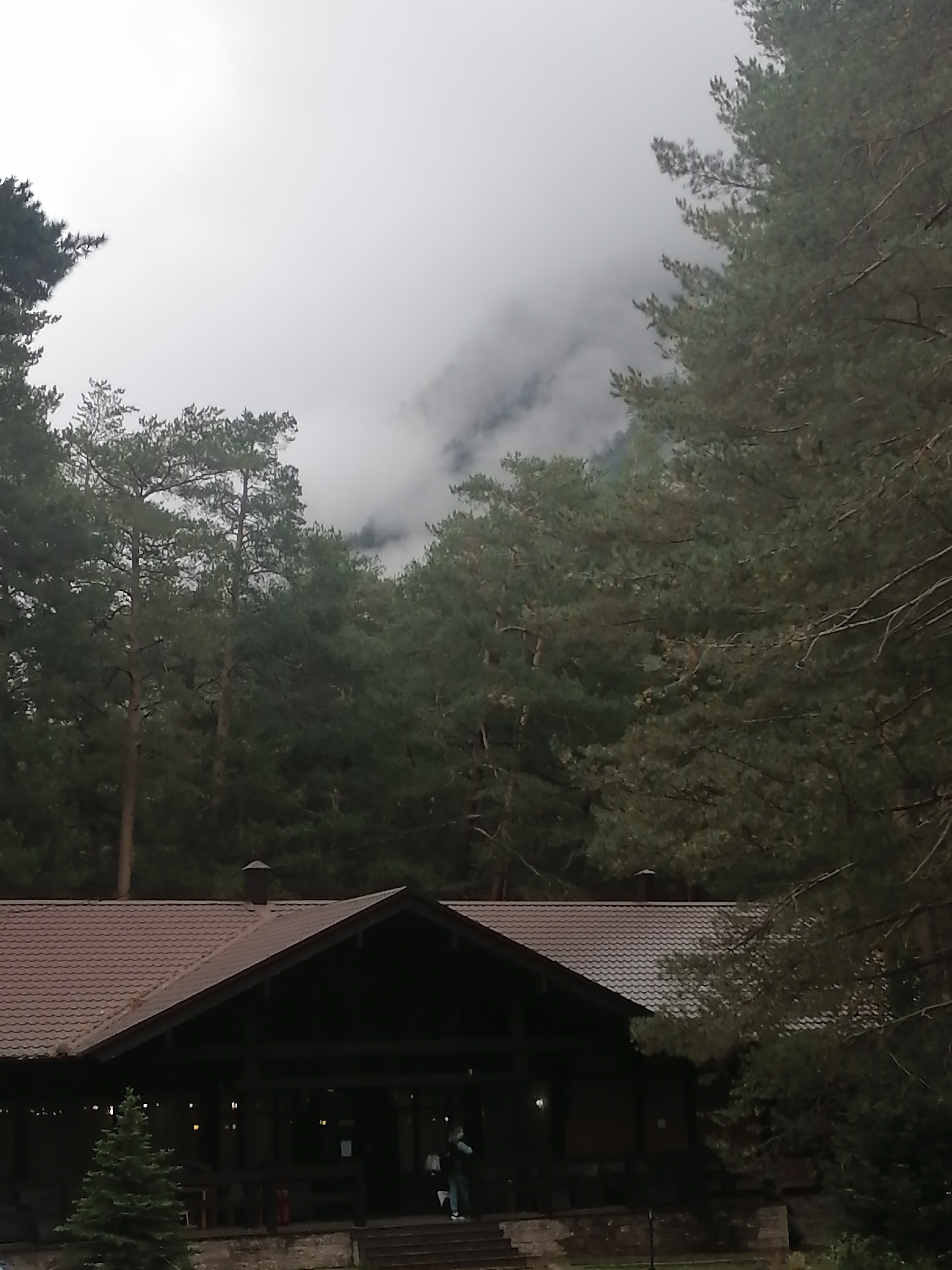 Фото Ozon Village