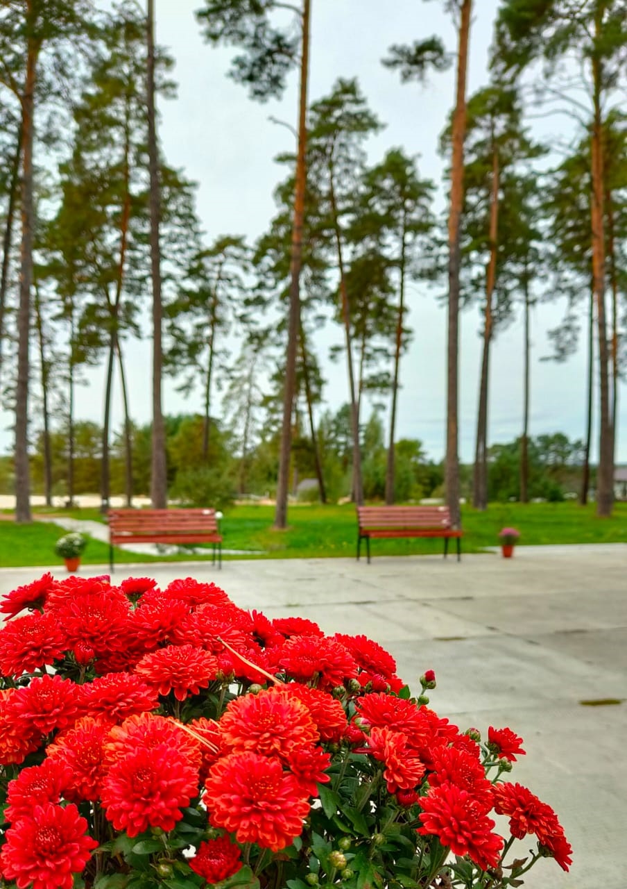 Фото Славянка