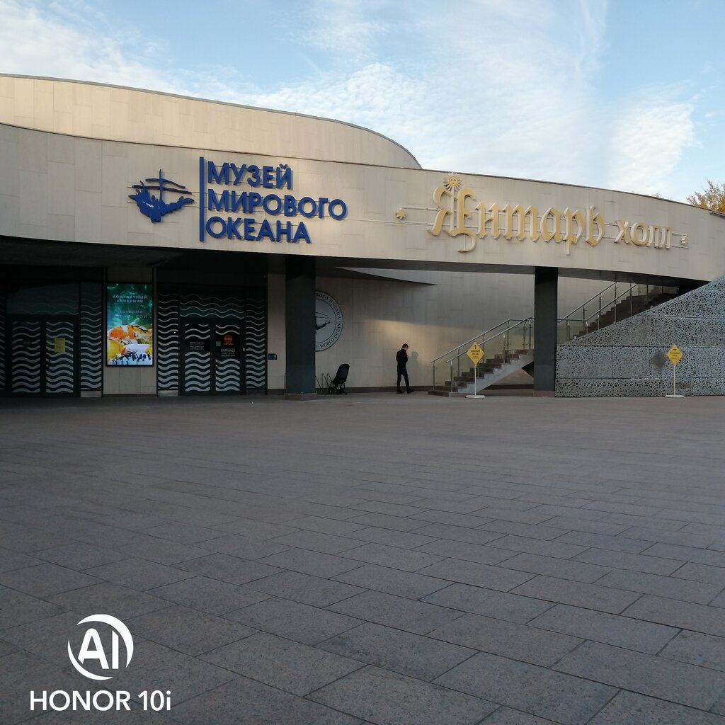 Схема янтарь холл светлогорск