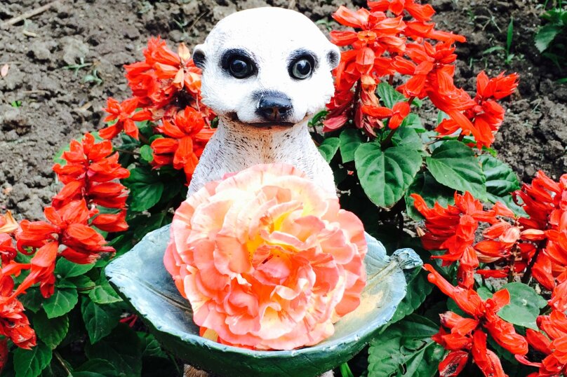 Фото Гостевой дом Канны