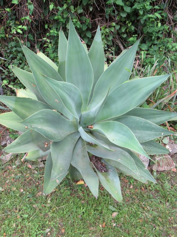 Фото Xanadú Rural